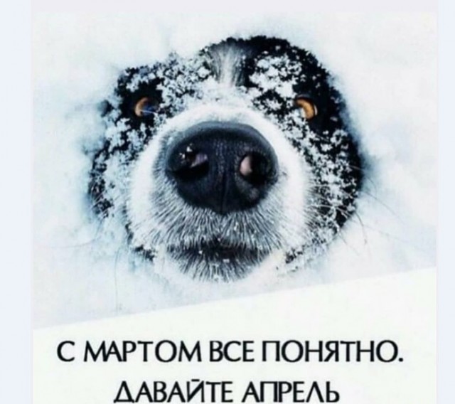 а.jpg