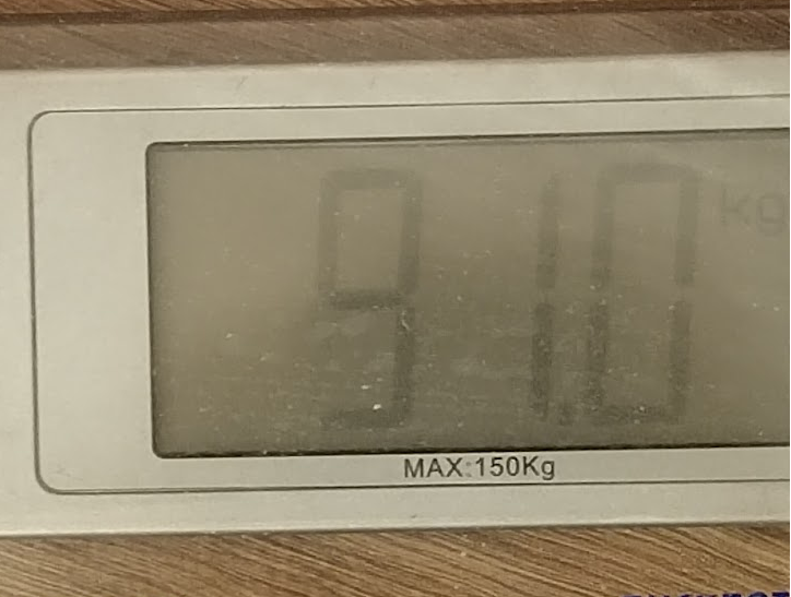 вес 10.03.png