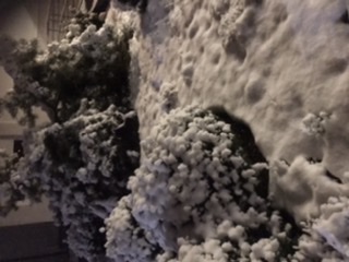 219F6A47-1F9B-4382-9C32-4375523EA0D8.jpeg