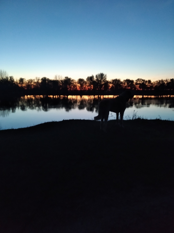 IMG-20230417-WA0001.jpg