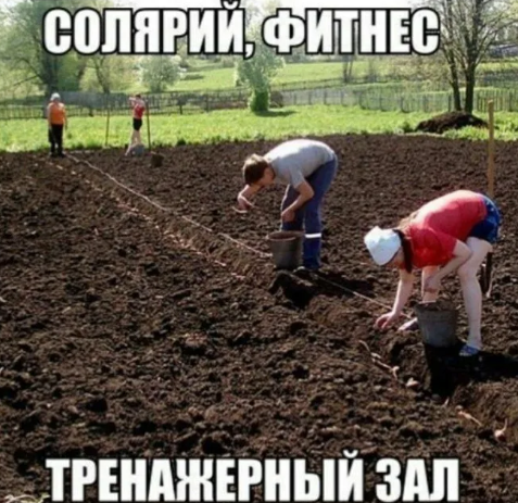 изображение_2023-05-31_163539416.png