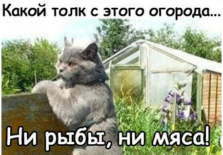 изображение_2023-06-07_025704514.png