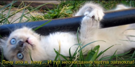 котелёт.png