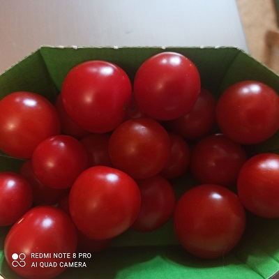 8737fd4d-24b6-4379-a438-2cee4d27b0b4.jpg