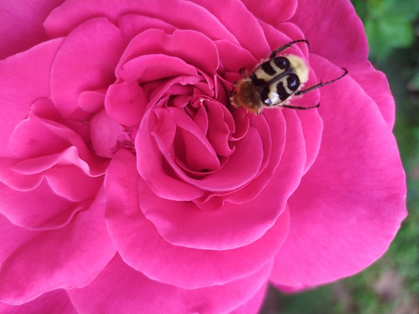 IMG_20230626_144351.jpg