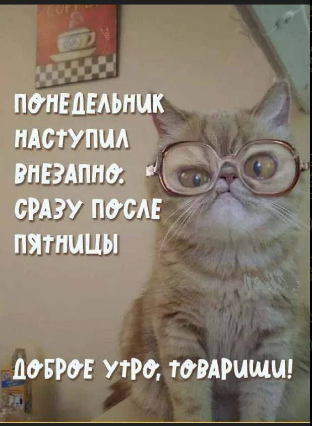 BA3AD3B4-CEE8-475D-9457-0276E7A4FC8A.jpeg