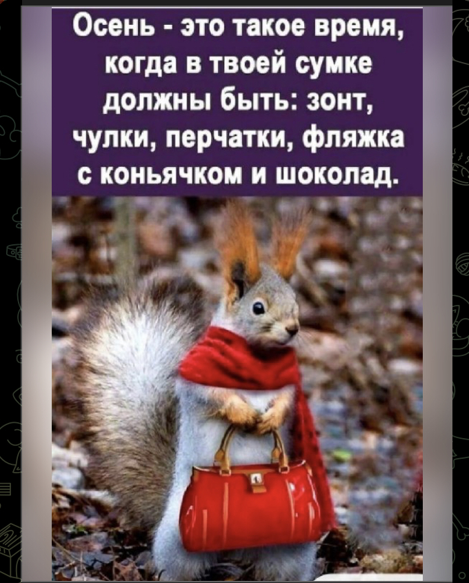 5A33E28B-80F4-432C-999E-4D691347A5CA.jpeg