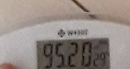 20230918_084542.jpg