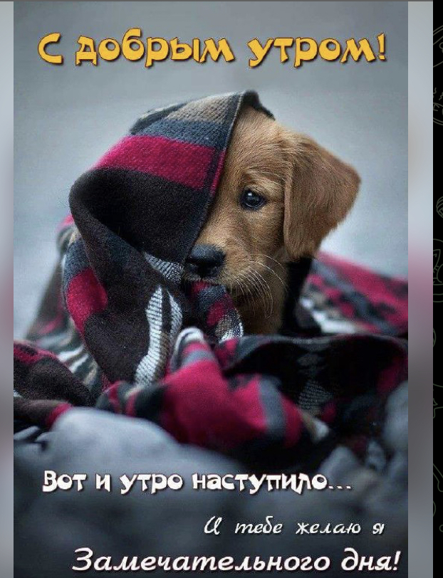 80939390-D4DE-43F7-81CB-422CAE1CC041.jpeg