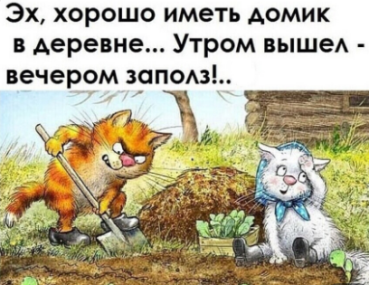 изображение_2023-11-14_082723872.png