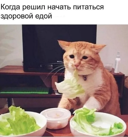 котепп.png