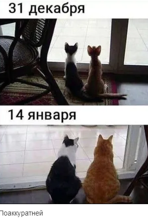 нг4.png