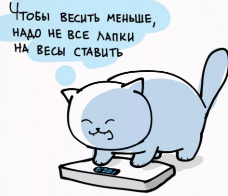 коте вес..png