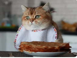 изображение_2024-02-15_180331173.png
