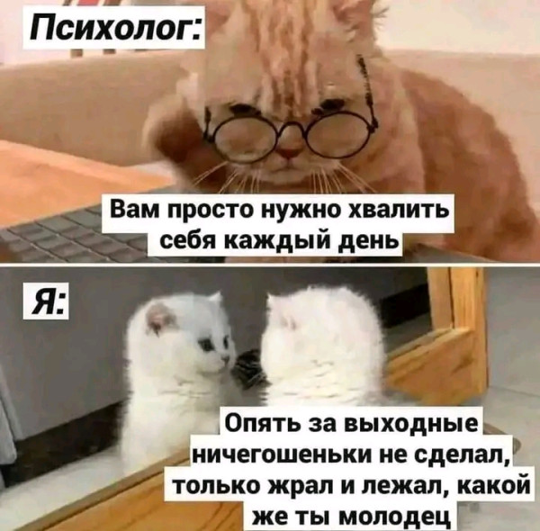 244808_600.jpg