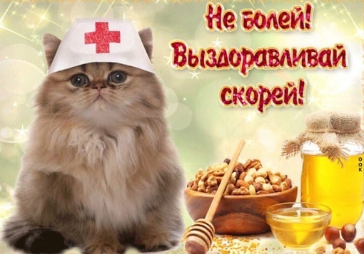 б.jpg