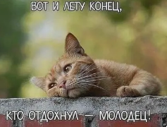 изображение_2024-09-08_003859488.png