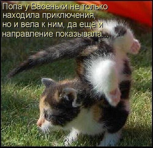 х.jpg