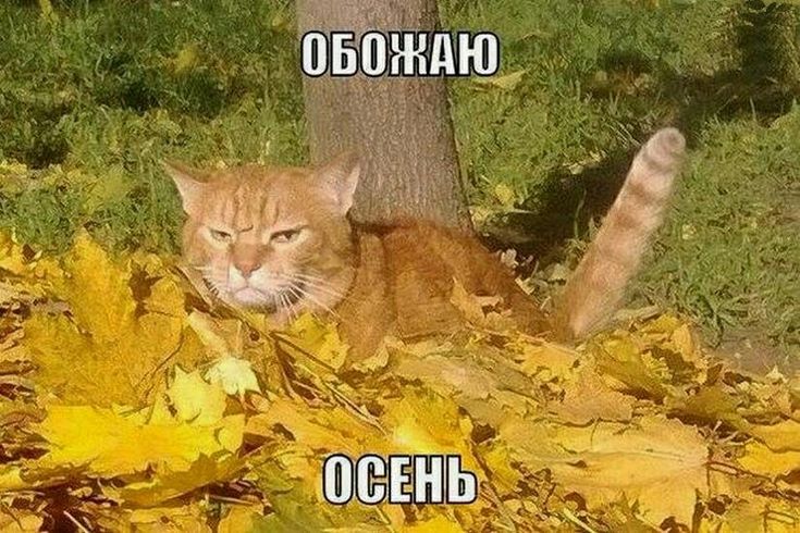 9b1c3778b30f910c8d617cc9dd8eca5e.jpg