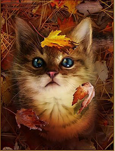 изображение_2024-09-26_001653021.png