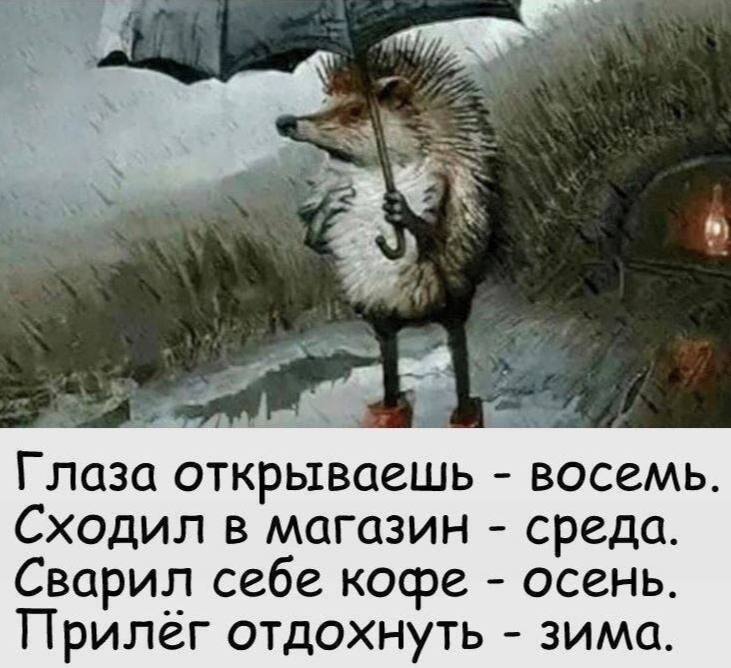 25E02E34-82DE-41FE-9939-17B3D191F0E6.jpeg