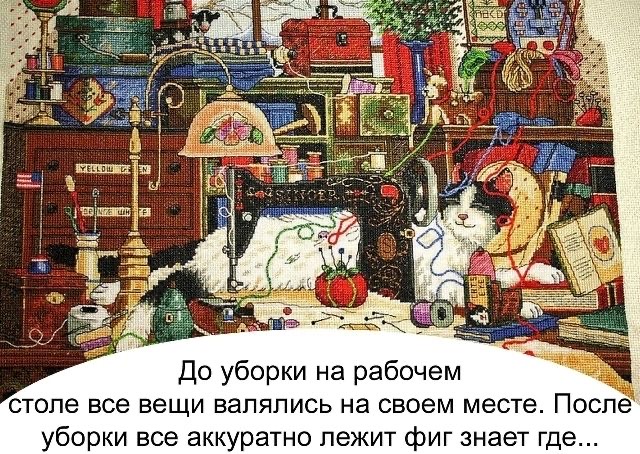 8E5C06CF-E019-4D4F-901A-11B39CD6F157.jpeg