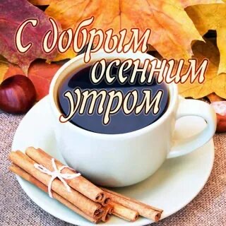 24B1E8DD-50FF-45C2-B640-8C12D8B6E85C.jpeg