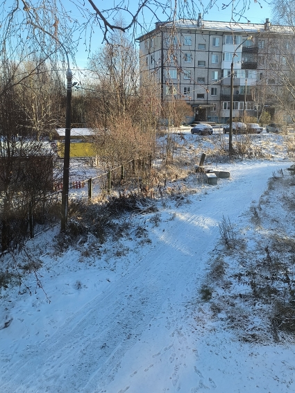 IMG20241101122035.jpg