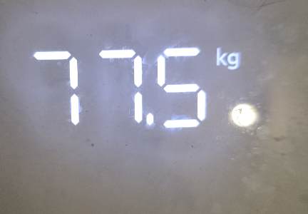 IMG_20241116_105147.jpg