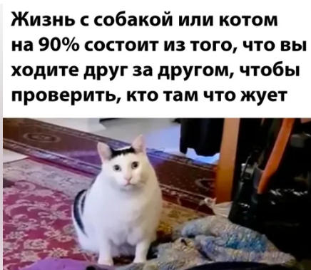 к жизнь.png