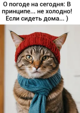 изображение_2024-12-19_050532428.png