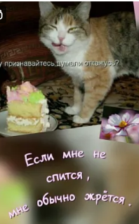 изображение_2024-12-21_233045924.png