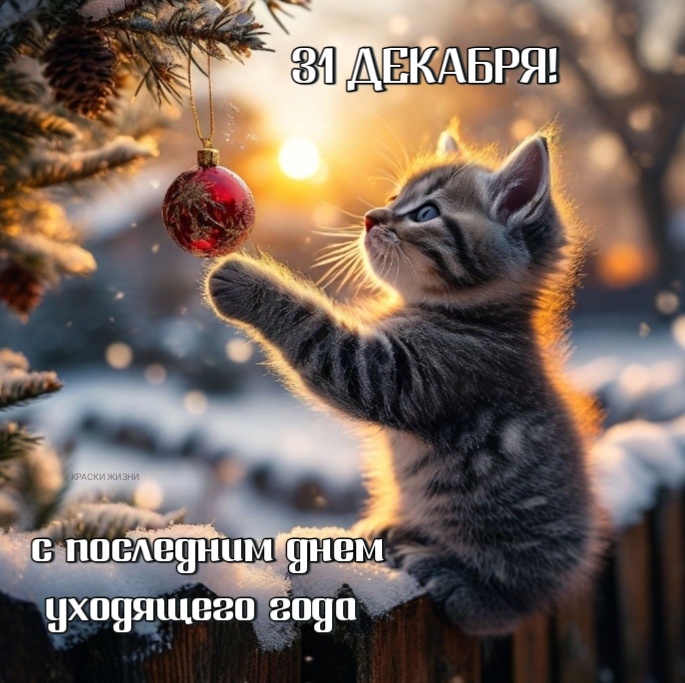 нг.jpeg