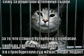 изображение_2025-03-24_025359658.png
