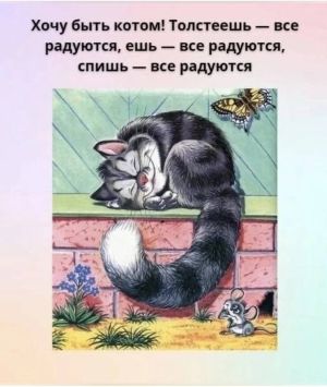 ХОЧУ БЫТЬ КОТОМ.jpg