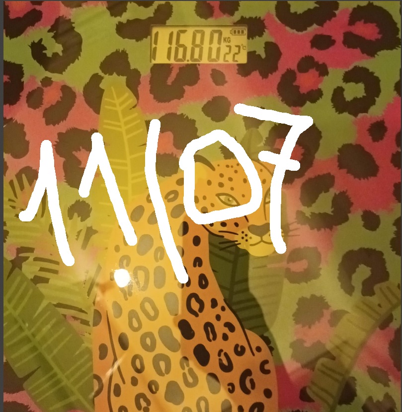 1107.jpg