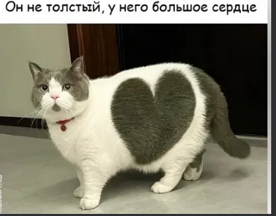 изображение_2025-07-14_221739471.png