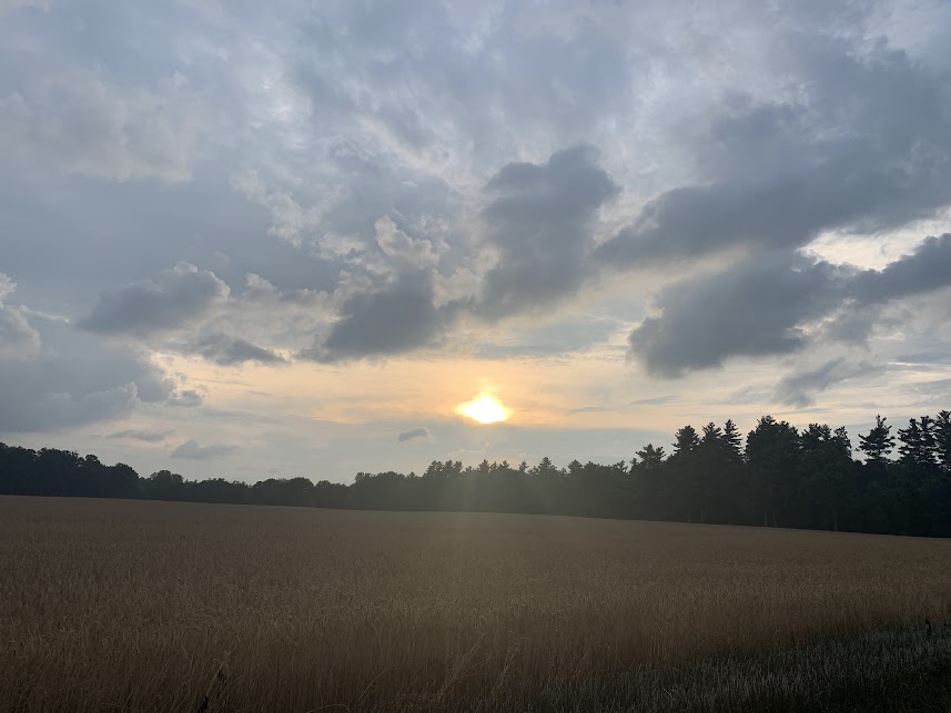 2025-07-17-2.jpg