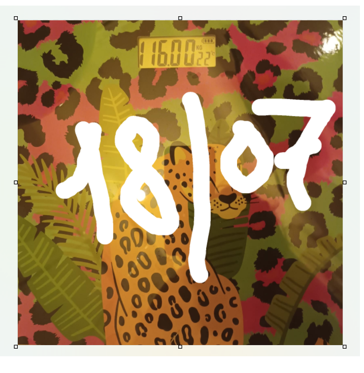 1807.png