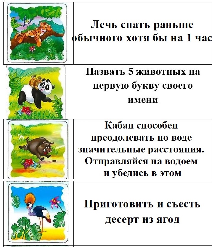 среда 1.JPG