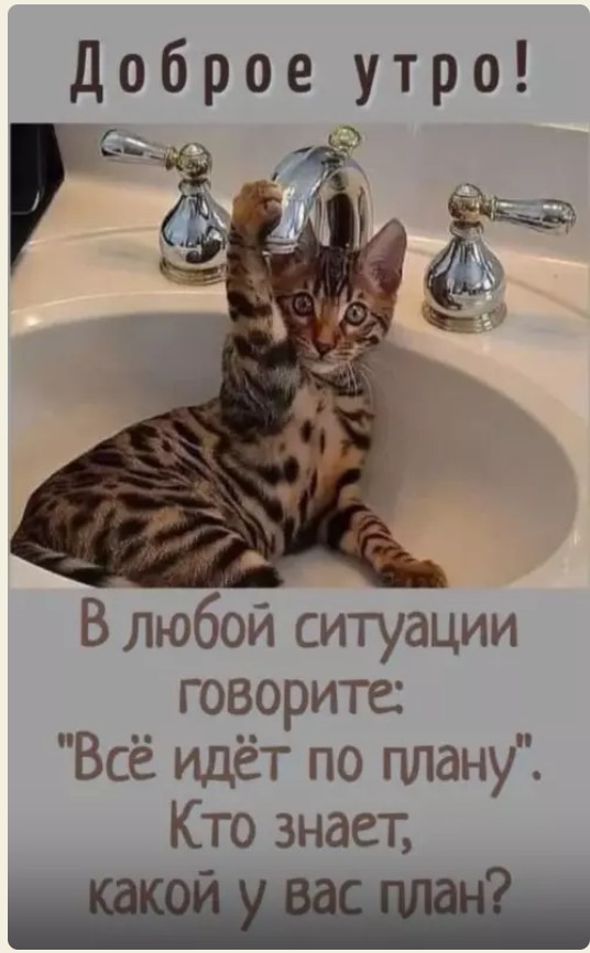 Снимок экрана 2025-07-30 100225.jpg