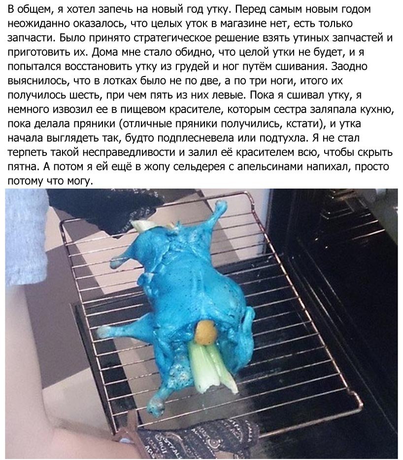 4599277.jpg