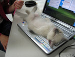585234-thumbnail.jpg