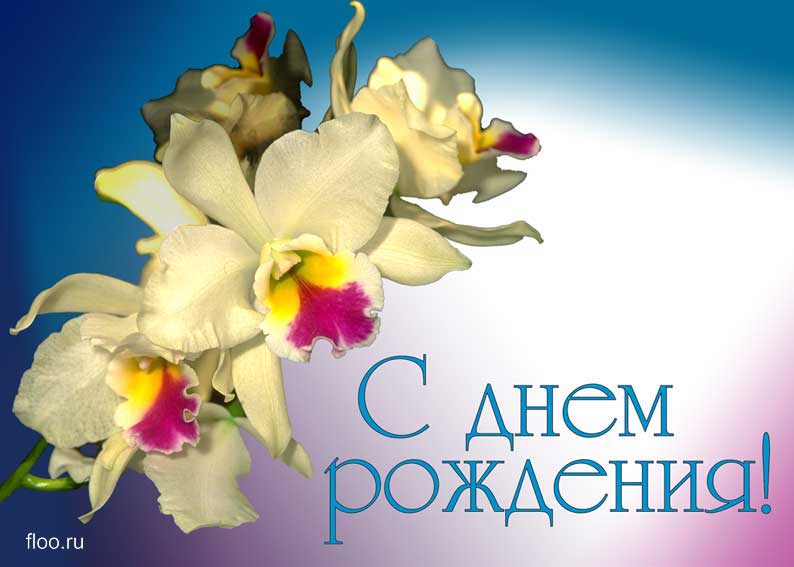 115.jpg