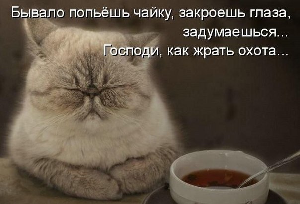 x_55db07bd.jpg