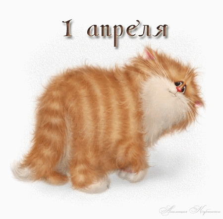 60.gif