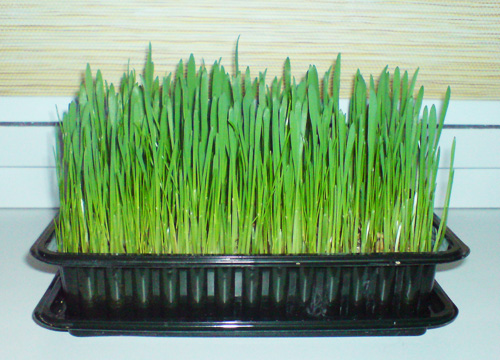 23.03.12.jpg