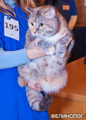 195.jpg