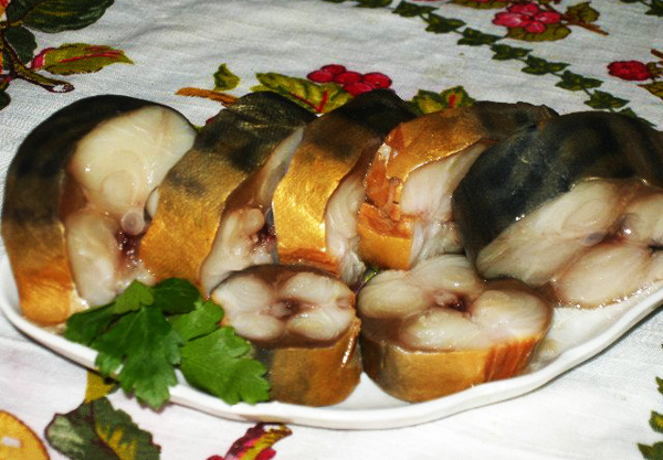 kopch-pyba-tea-01.jpg