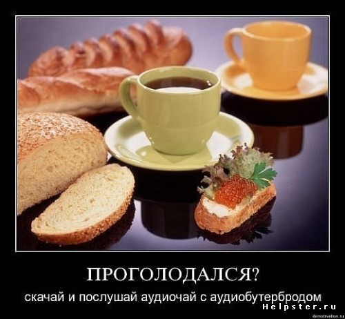 348397.jpg